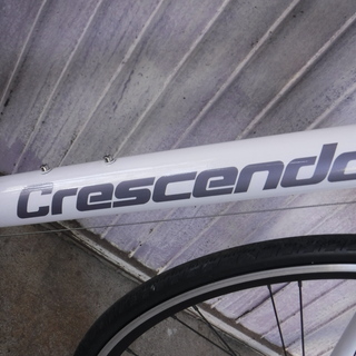 在庫一掃セール売れ筋ランキング 福岡市引取限定/Cannondale 16段変速タイヤ新品 165cm～ ロード 自転車本体