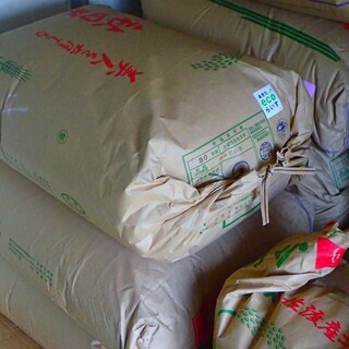新米　稲沢市産 あいちのかおり（玄米）　30kg