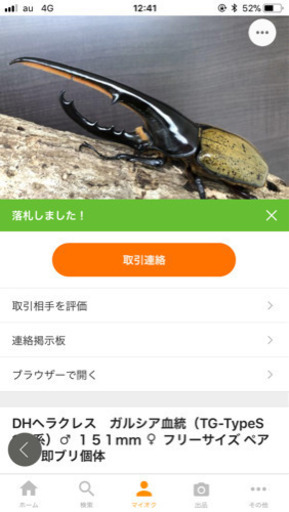 ヘラクレスオオカブト幼虫初令〜3令後期 ヘラクレスオオカブト幼虫初令〜3令後期 【公式通販】