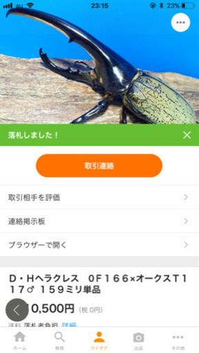 ヘラクレスオオカブト幼虫初令〜3令後期