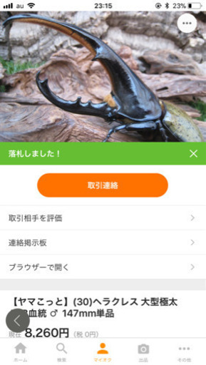 ヘラクレスオオカブト幼虫初令〜3令後期