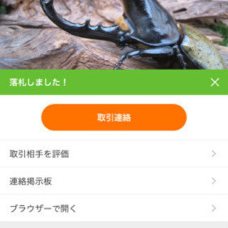ヘラクレスオオカブト幼虫初令〜3令後期