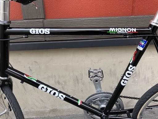 GIOS ジオス 2020 MIGNON ミグノン | pcmlawoffices.com