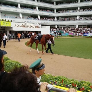 有馬記念とライヴを東京競馬場で観戦しよう