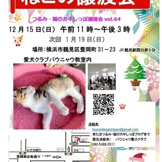 横浜　つるみ・猫のカギしっぽ譲渡会　第65回　JR鶴見駅西口歩5...