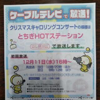 12/7㈯15:00〜　栃木駅（北口）　キャロリンク　聖書の無料配布