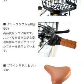 My Pallas マイパラス シティサイクル26インチ・シマノ6段ギア M-501