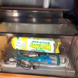 オーバーフロー水槽