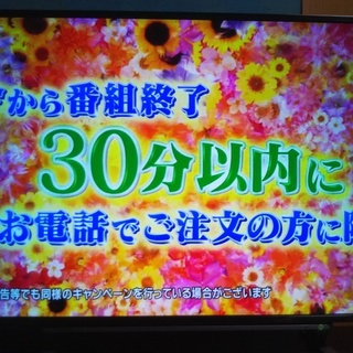 東芝　テレビ　REGZA 43G20X 　43インチ