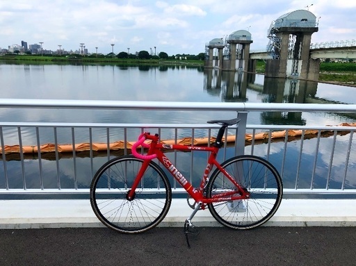 ロードバイク cinelli vigorelli shark