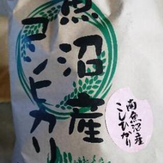 南魚沼産コシヒカリしおざわ西山地区 令和1年産  玄米30㎏