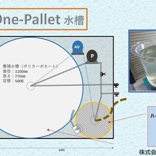 陸上養殖試験水槽「ONEパレット水槽」