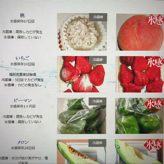 業務用冷凍庫　氷感