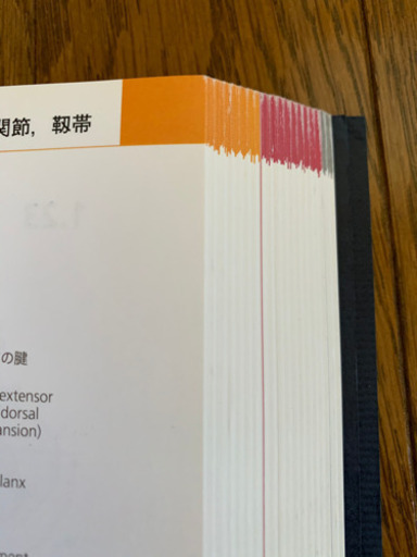 プロメテウス解剖学アトラス 解剖学総論/運動器系 - 医学、薬学、看護 