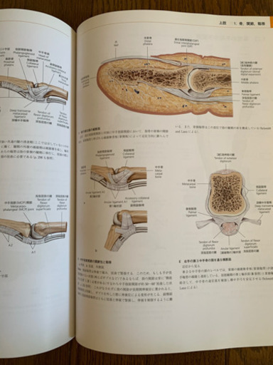 プロメテウス解剖学アトラス 解剖学総論/運動器系 - 医学、薬学、看護 