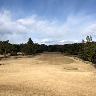 女性ゴルフコース仲間 − 栃木県