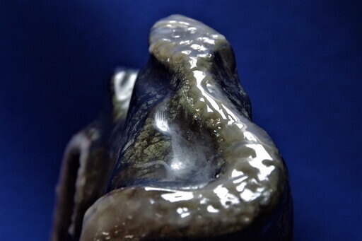 蛍光蛇石 ブラックライトで発光 財運オブジェ UVランプ対応 白蛇