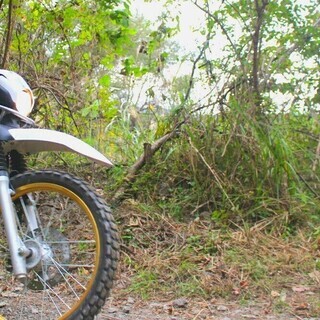 オフロードバイク仲間　募集