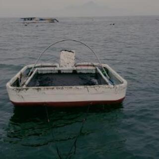 生海苔どうぞ、海苔の佃煮作ってみませんか