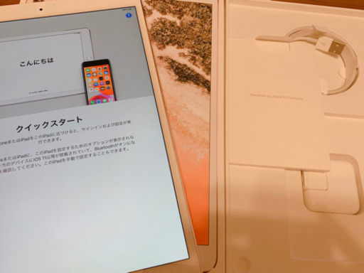 美品 iPadPro10.5インチ Wi-Fiモデル 64GB | mayberrydental.ie