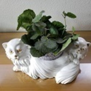 陶製猫の花入れ、花瓶としては使えます。
