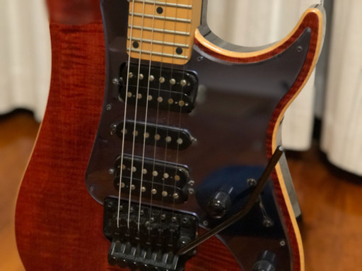 vigier 【早い者勝】Excalibur custom HSH w/trim RB フランスのギターです。