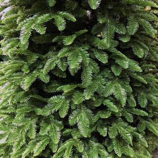 クリスマスツリー210㎝ 二種類の枝でボリューム感満点 本物そっくり