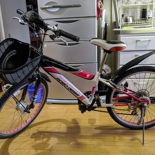 ロードギアIII子供用自転車-6速、22インチホイール、シマノ