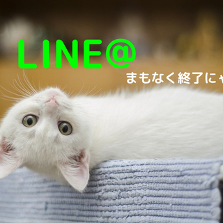 LINE@まもなく終了！公式アカウントへの移行サポート行います（...