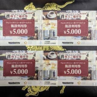 有効期限2020年12月末】セガミ・フェニックスシーガイアリゾート・株主