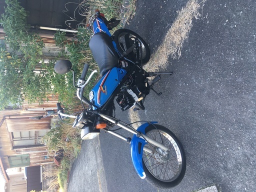 ラクーン ボアアップ車