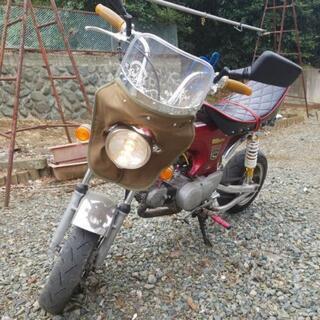ホンダDAXカスタム(49cc)カスタム費用30万以上 廃車届け済　コロナ救済支援価格！