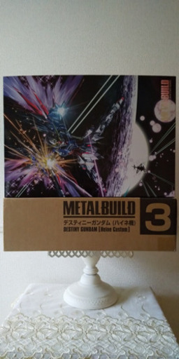 METAL BUILD デスティニーガンダム(ハイネ機) 光の翼セット | procomm.ca