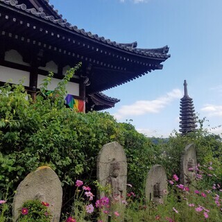 1/18（土）　社寺コンー神社お寺が好きな方の出会い