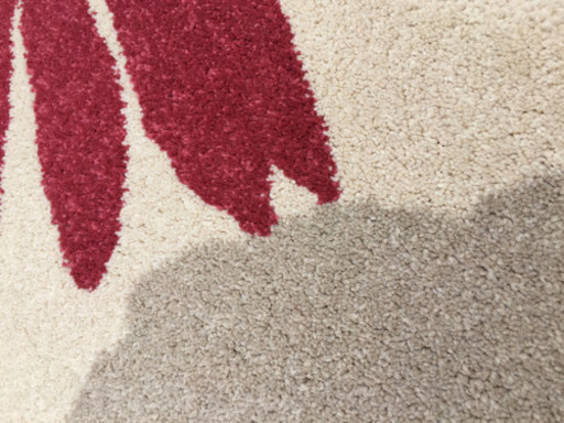 大処分価格！ベルギー製花柄ウィルトンカーペット、ホットカーペット