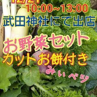武田神社でお野菜販売します‼️