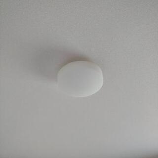 IRIS OHYAMA  LED シーリングライト 小型 昼白色...