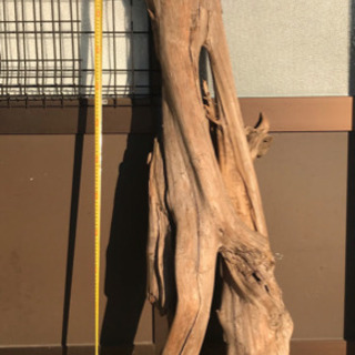 流木a | aucklandnightmarkets.co.nz