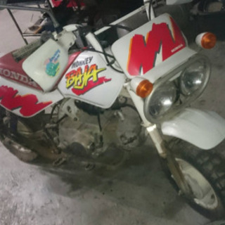 今日で終わり　超希少、激安、激レア、モンキーBAJA 4mini 条件あり！ 今日で終わり 超希少、激安、激レア、モンキーBAJA 4mini 条件あり