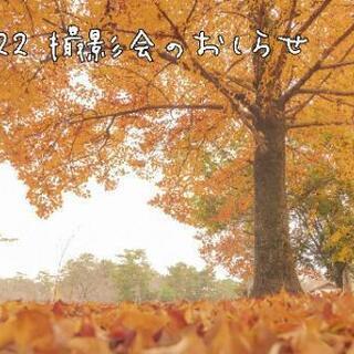 【12/22】落葉とゆるっと撮影会【総合グラウンド】