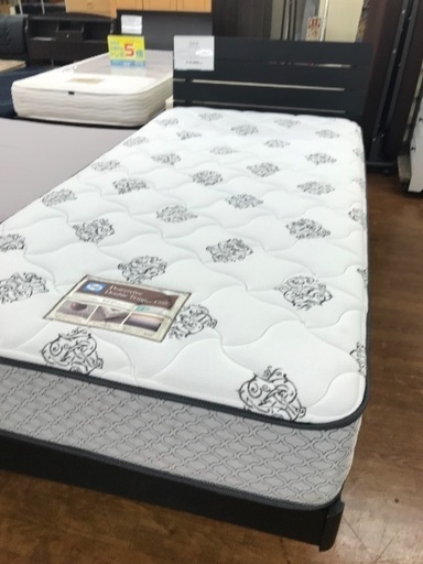 ニトリ×シーリー シングルベッド!マットレスも非常に綺麗です! www