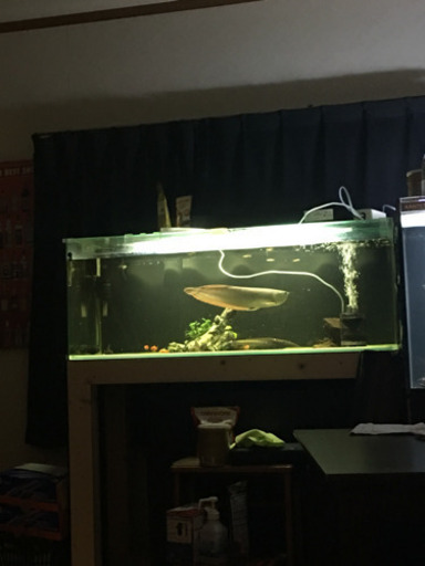120水槽セット