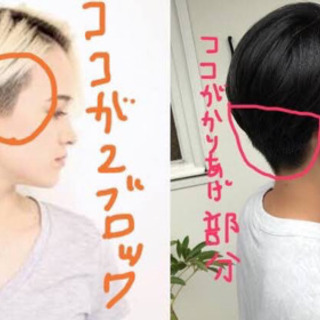 理容師様募集中youtube撮影にご協力して頂ける方スキンヘッド 刈り上げ希望のモデル様がいます ばしし 荻窪の美容師の無料求人広告 アルバイト バイト募集情報 ジモティー