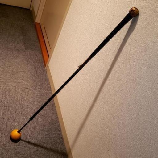 オレンジウィップ 110cm