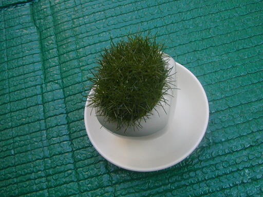 モフリッチ Mikisan 本厚木のその他の中古あげます 譲ります ジモティーで不用品の処分