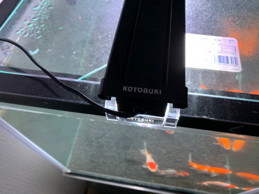 アクアリウム 金魚.鯉.熱帯魚 水槽一式