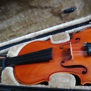 【終了】Violin　ヴァイオリン　ピグマリウス　4/4 終了】Violin ヴァイオリン ピグマリウス 4/4