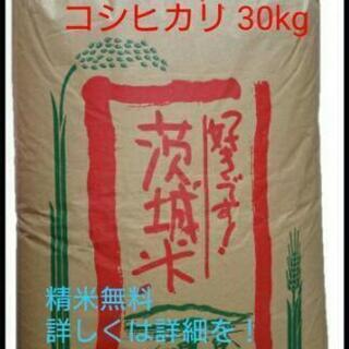 茨城県産 コシヒカリ玄米 30キロ 減農薬減化学肥料