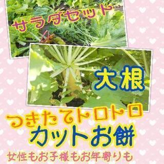 １月５日から販売開始🥗美味しい３点セット🥗よねベジ