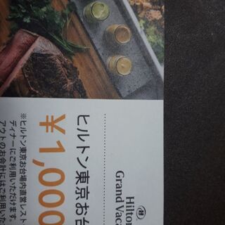 ヒルトン東京お台場　ランチディナー券1000円